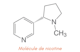 E-LIQUIDE MOLECULE NICOTINE