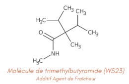 E-LIQUIDE MOLECULE FRAICHEUR