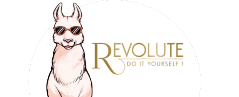 CONCENTRE AROME DIY REVOLUTE E-LIQUIDE