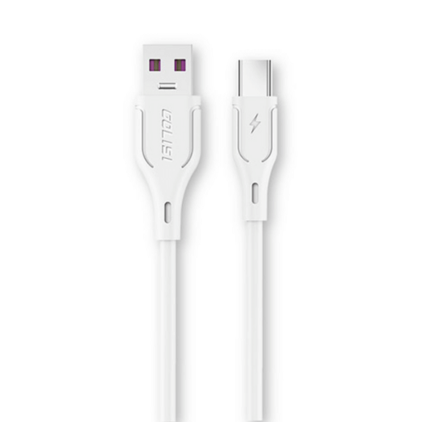 Câble USB-C