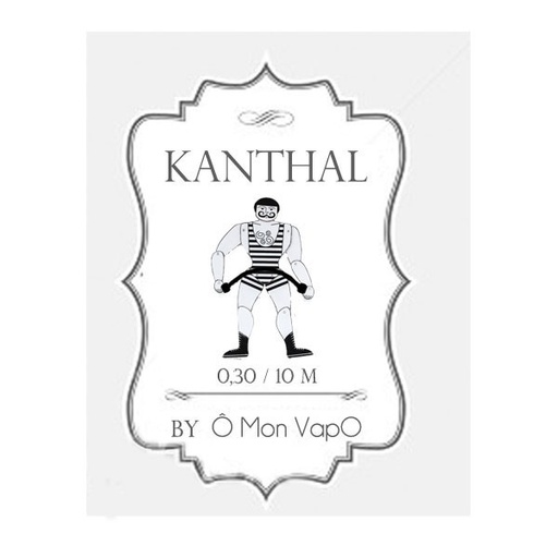 Kanthal A1 - Fil Résistif